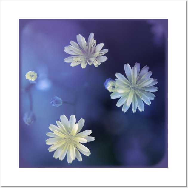 blossom's cosmos Wall Art by augenWerk